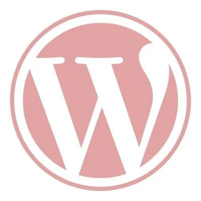 Usa wordpress.org per avviare un blog di successo